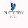 77_butterfiy