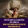 vuthehieu79
