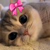 xiiseyyy4