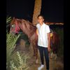 prn7a