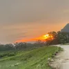 mai_thuan_84