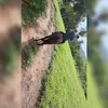 thalysonmachado1