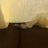 jpawtgjm58m