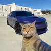 _limazrx