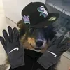 danbeeaim7