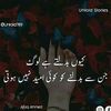 shaaheen041