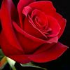 user2710907295154