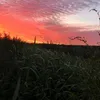 onemanandhislabs