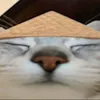 sharp_431