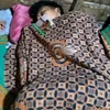 bandit_kecil44_