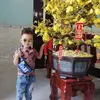 lehien365