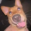 ruziidayyy
