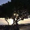 angelmang71