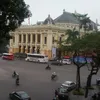 hoahongsat05