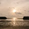 nininini_2424