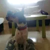 loloelbodeguero