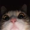 sugataewkookie