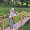 hbsyy24
