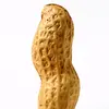 peanut69q