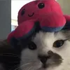 alnidonut