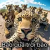 yiastoojhlau