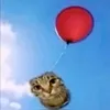 artyfarty73