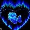 gimaxine_2022