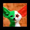 youcefyoucef935