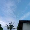 _mycoconut15