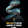 tiana_loqka