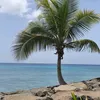 fannybiardmahuteau