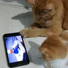 PinginOmah