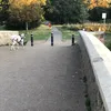 rickyisnthere