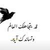 majidaalharbi1