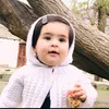tanzeelhussain11