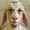mers0st