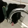cat_nuni