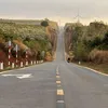 reachingban