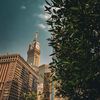 abdalmajeed19