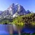donjohnson689