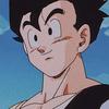 son__gohan0