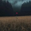 adlr00
