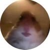 kittyhisokaeow