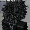 dinikayrahhisan