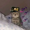 kissedbyjotaro
