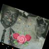 jackie_kitto