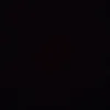 nyvddbjollps123