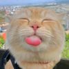 suryawiraa_