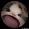 dont_tagmeh