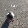 al3x4ndru_n3agu